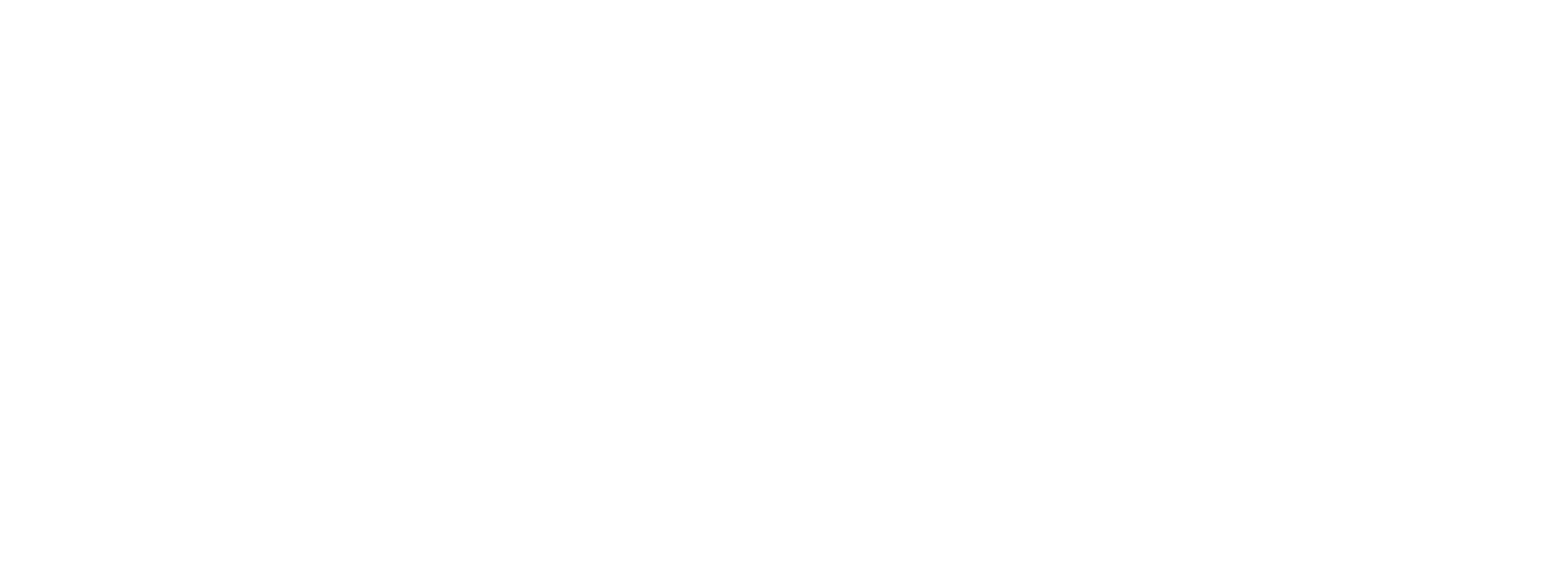 Anton Sylenko